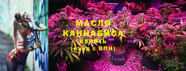 прущие грибы Армянск